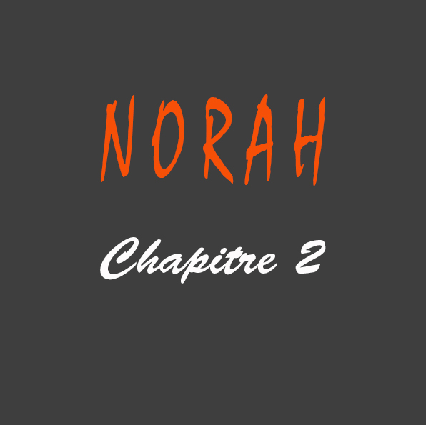 Roman NORAH de Gilles Deschamps chapitre 2